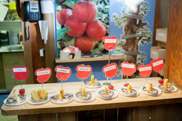 Apple varieties from Robinette's Apple Haus & Winery.