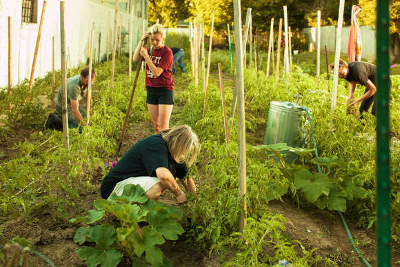 Volunteers work on an urban farm on the North East side.