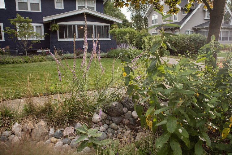 Curb-cut gardens reduce effort for homeowners, reduce watering, and filter run-off as it enters the watershed. 