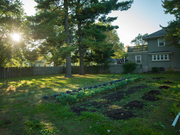 A plot of land for growing on the southeast side.