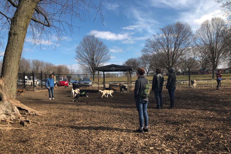 Hillcrest dog park.