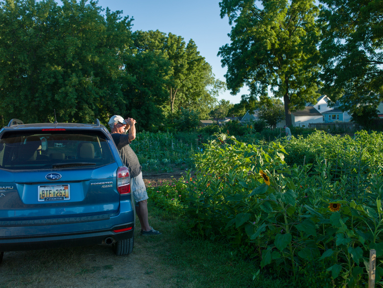 Community members and gardeners work, and sometimes just enjoy the sunset at Hillcrest. 