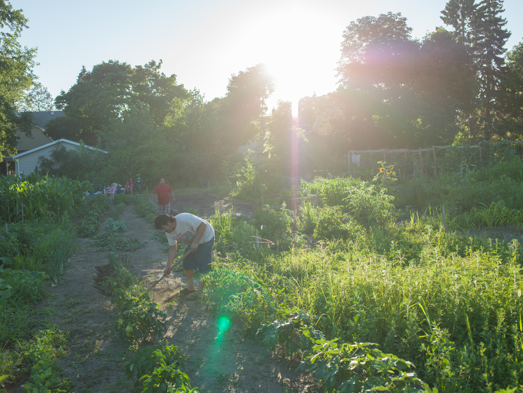 Gardners tend their plots at Hillcrest.