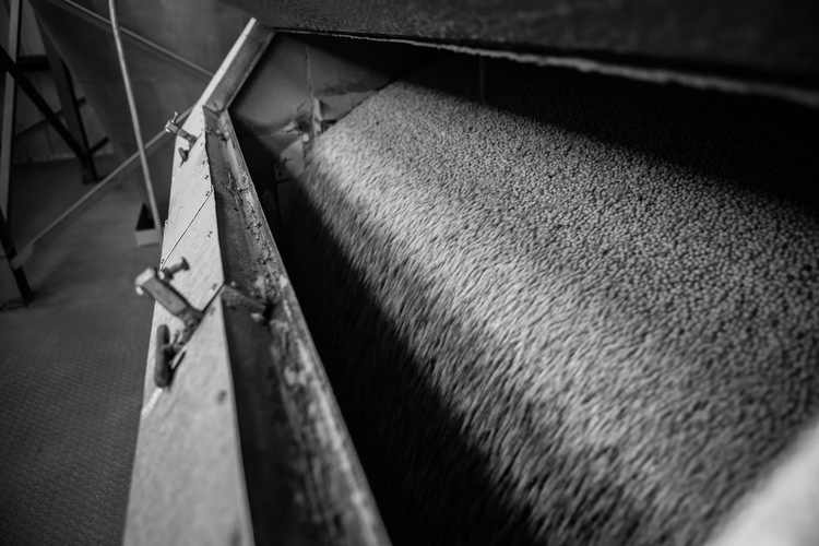 A series of processes convert the soy beans into oil and other useful commodities.