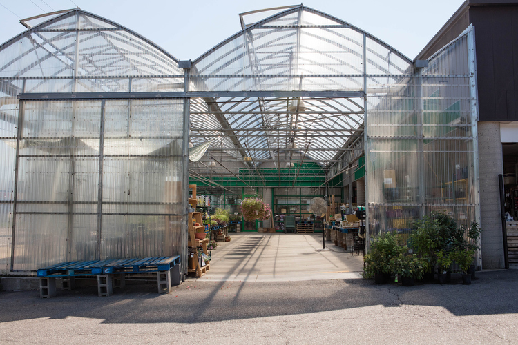 Kingma's, with their greenhouse selling plants has been a staple of the north quarter corridor.