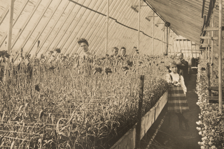 Louis Wasserman, standing at right in the back, in his greenhouse located at Irwin and Terrace around the turn of the 20th century.