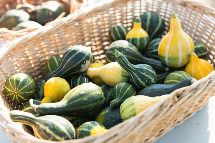 Produce at McLaughlin Grows Urban Farm.
