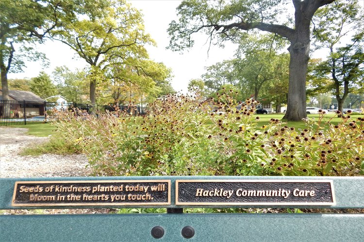 A bench where people can rest and enjoy the view of McLaughlin Grows Urban Farm. Photo by Anna Gustafson