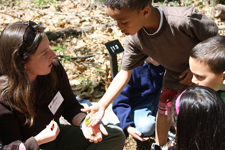 Children learn about native vegetation at Blandford Nature Center.
