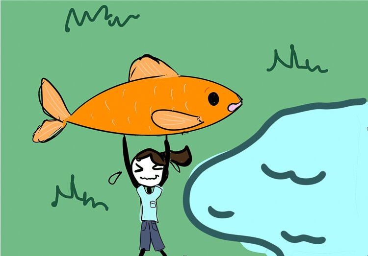 Giant koi can grow too big for home ponds, but letting them go in the wild is a bad idea. They keep growing and can harm the environment.