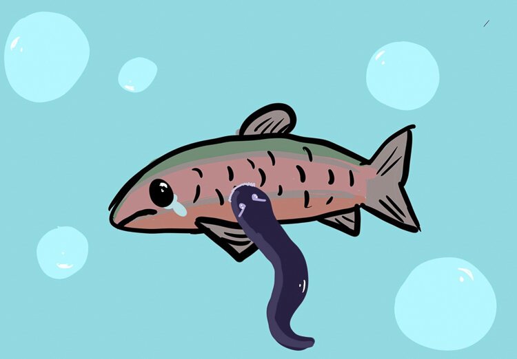 Sea lampreys are invasive parasites that devastate Michigan’s native fish and threaten the state’s $7 billion Great Lakes fishery.