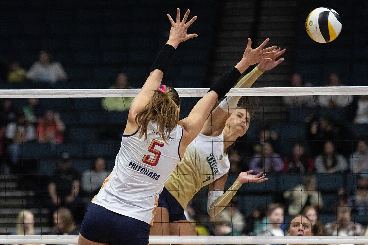 The Grand Rapids Rise is one of seven teams playing in the 2024 season.