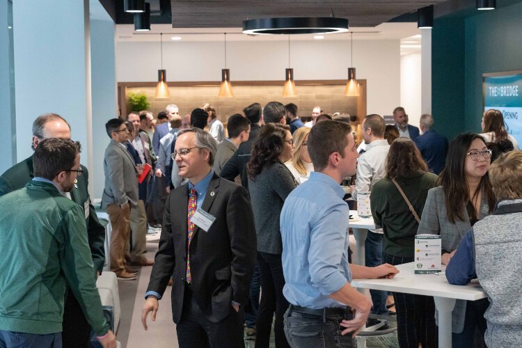 Courtesy of The Bridge