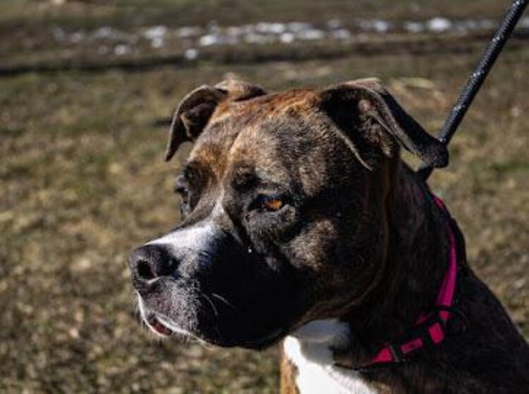 Courtesy of Colin Holohan