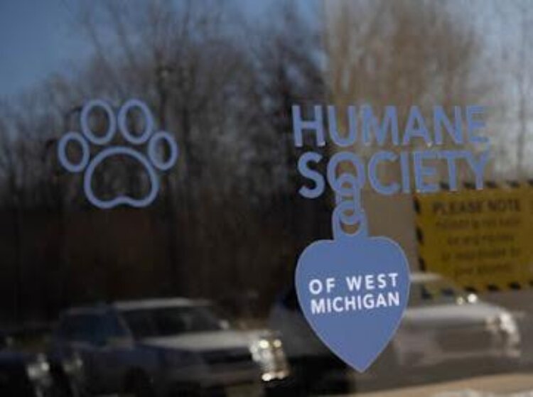 Courtesy of Colin Holohan