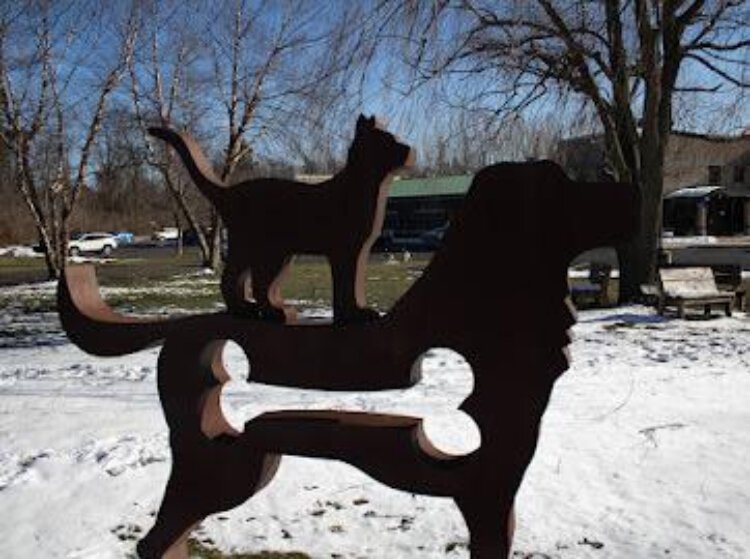 Courtesy of Colin Holohan