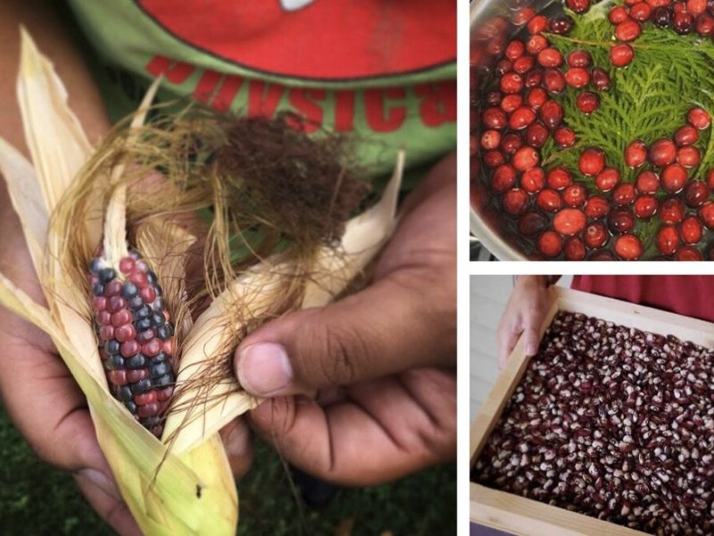 Photos of Indigenous family food traditions submitted to the Inter-Tribal Council of Michigan.