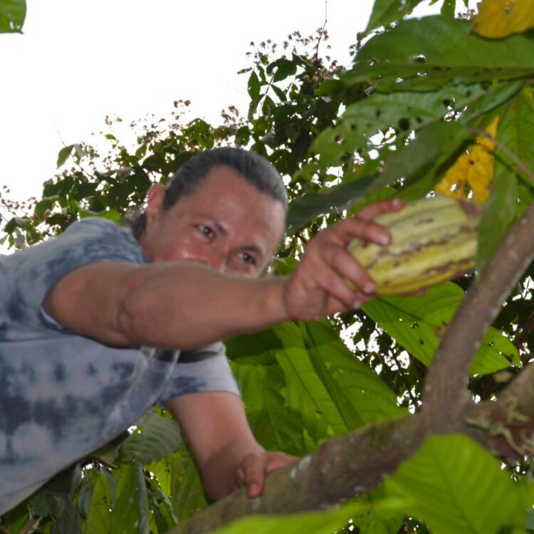 Courtesy Atucún Chocolate Facebook page