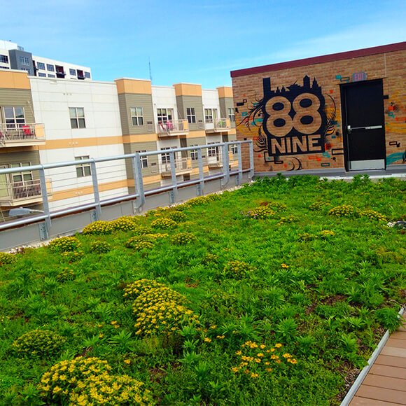 A green roof in Milwaukee highlighted by MMSD