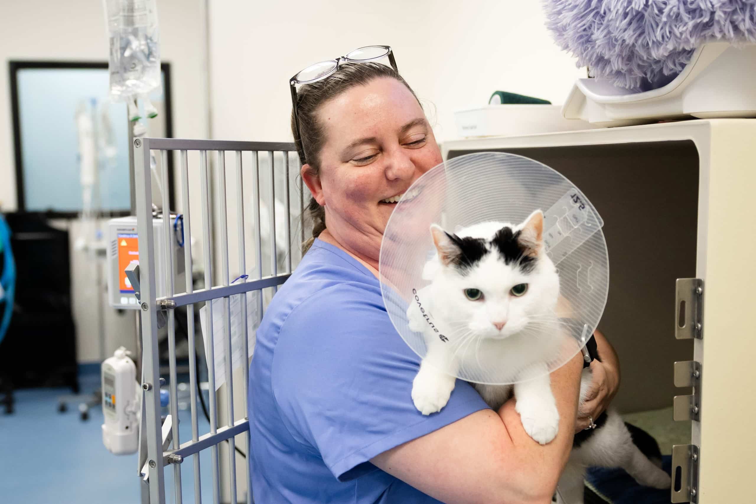 Lovet expands affordable veterinary care model with fourth Grand Rapids